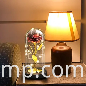 Galaxy Rose for Women, Glass Dome Rainbow Eternal Rose Gift